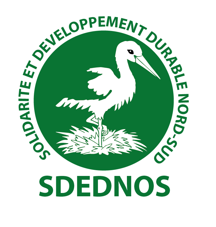 SDEDNOS Logo